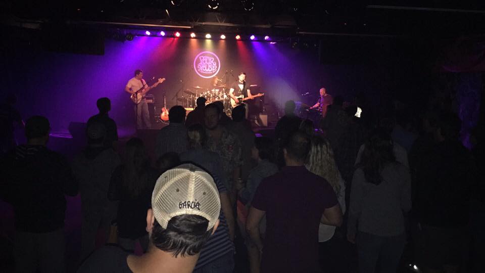 KING HIPPO live performance photo 11