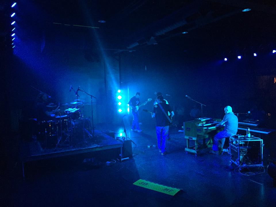 KING HIPPO live performance photo 10